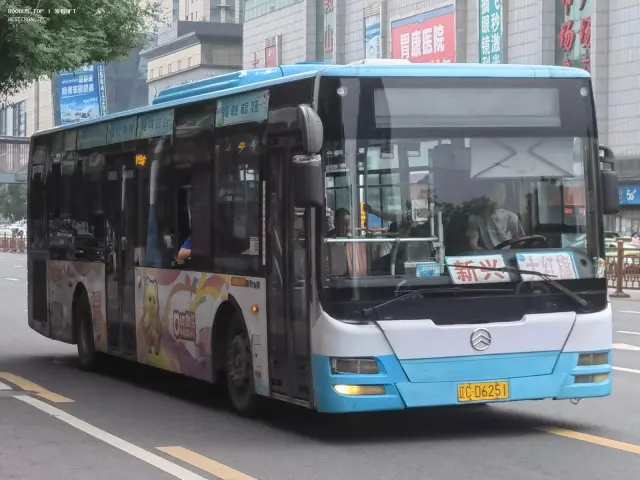 辽C D6251