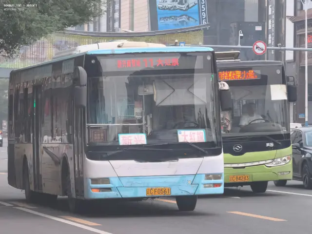 辽C F0561