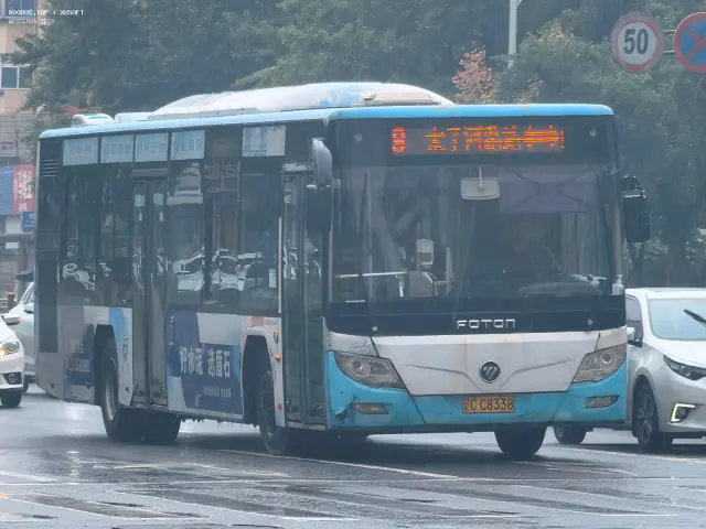 800BUS