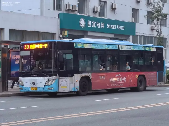 800BUS