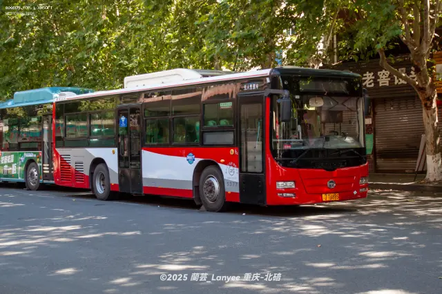 渝B T6885[5377]