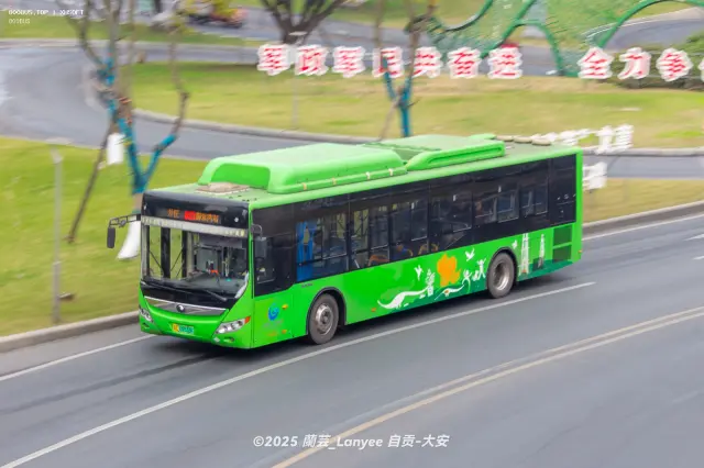 800BUS