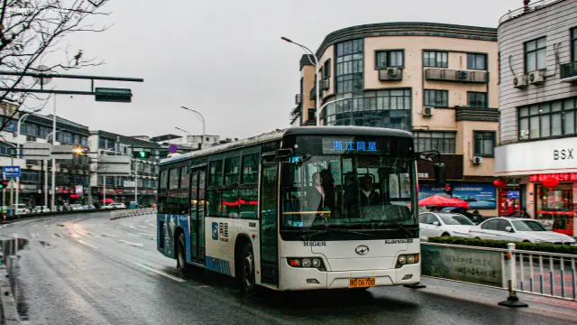 800BUS