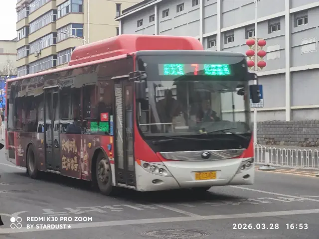 800BUS