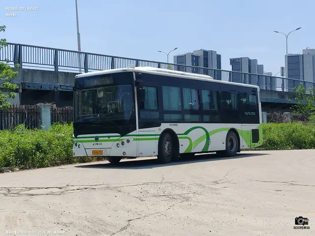 800BUS