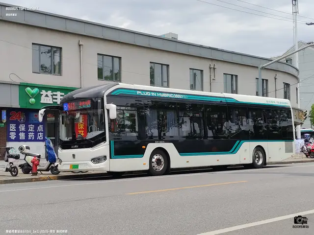 800BUS