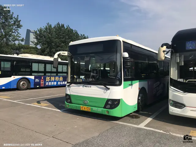 800BUS
