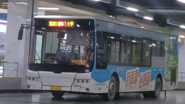 800BUS