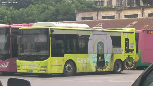 桂A 00776D