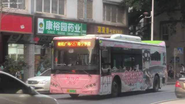800BUS