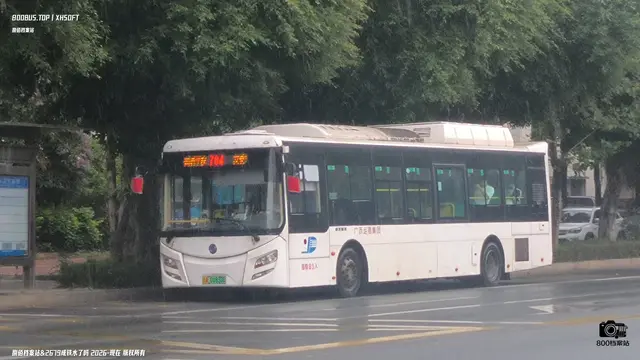 800BUS