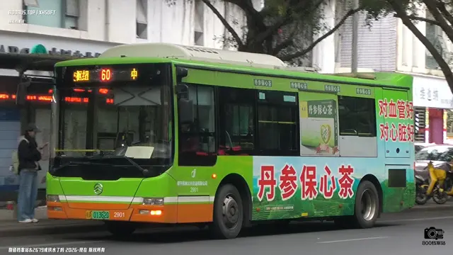 800BUS