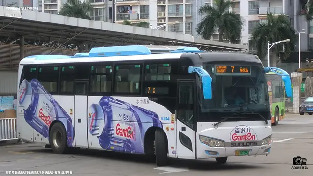 800BUS
