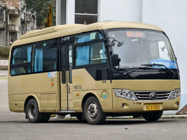800BUS