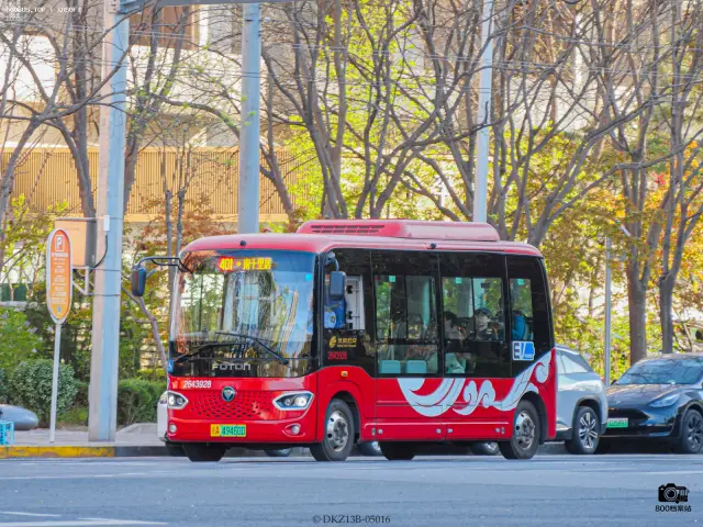 800BUS