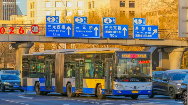 800BUS