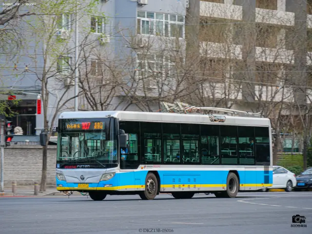 800BUS
