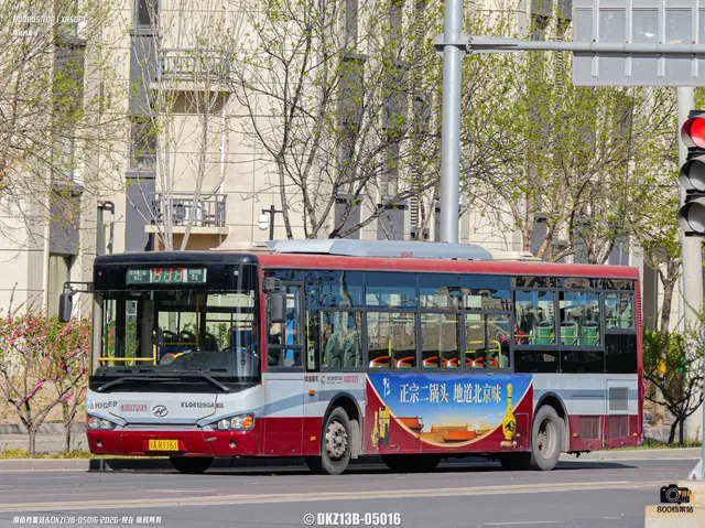 800BUS