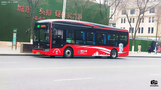 800BUS