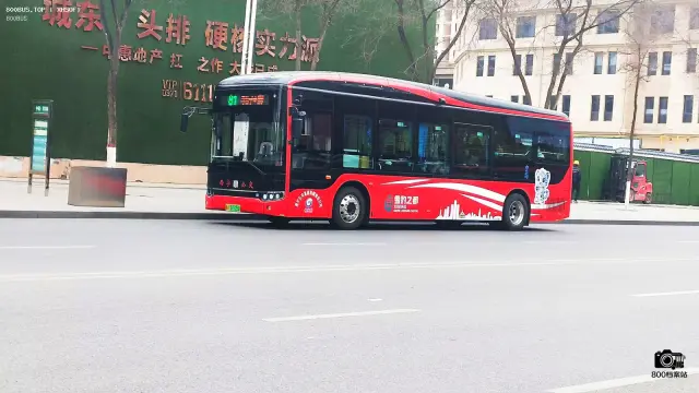 800BUS