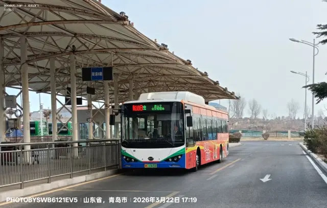 800BUS