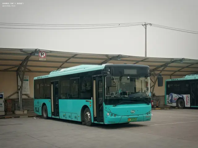 800BUS