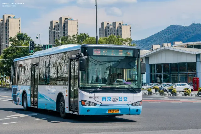 苏A•E8572
