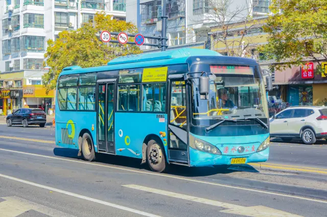 800BUS