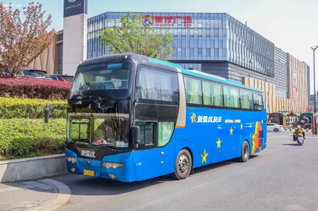 800BUS