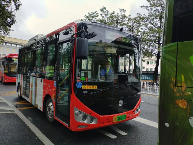 800BUS