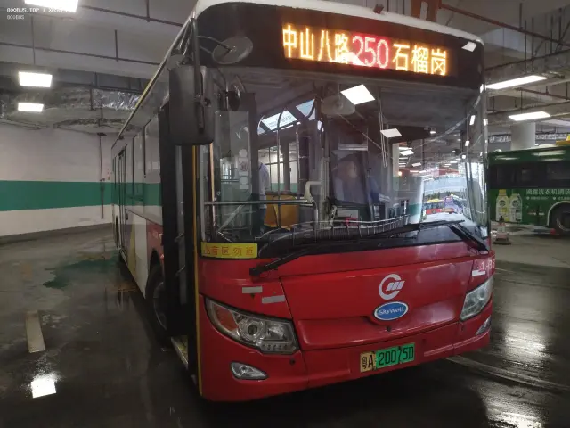 800BUS