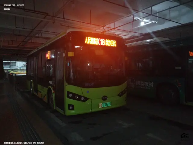 800BUS