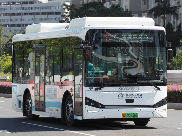 800BUS