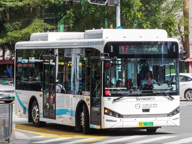 800BUS