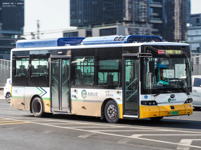 800BUS