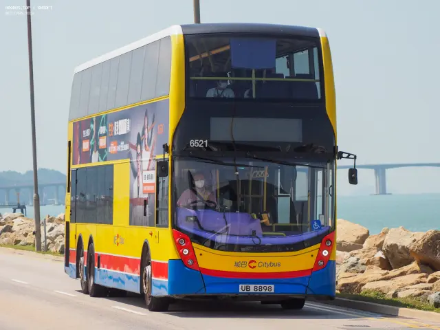 800BUS