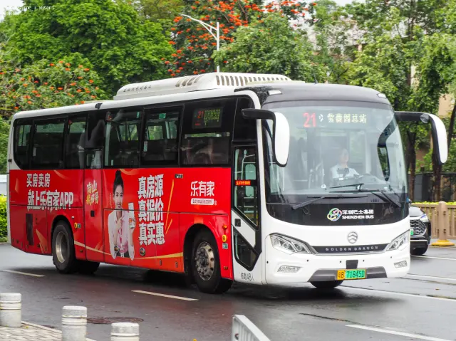 800BUS