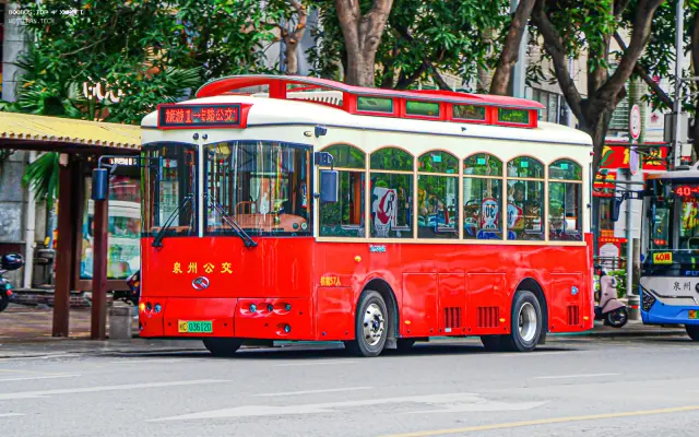 800BUS