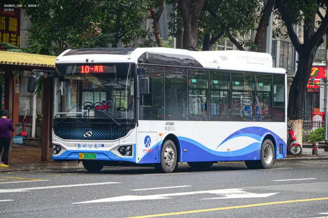 800BUS