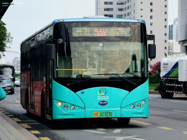 800BUS