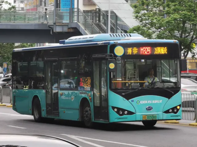 800BUS