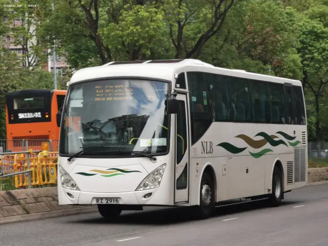 800BUS