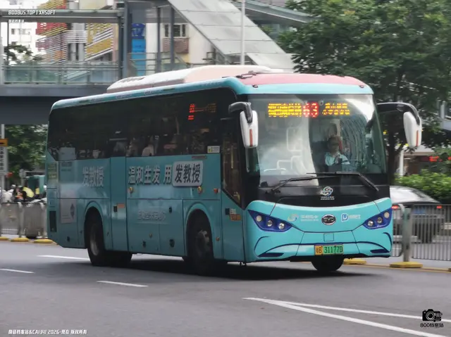 800BUS