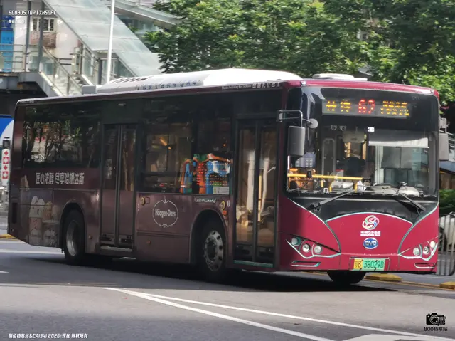 800BUS
