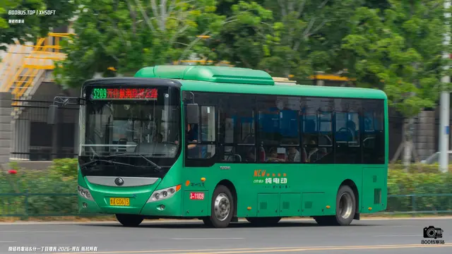 800BUS