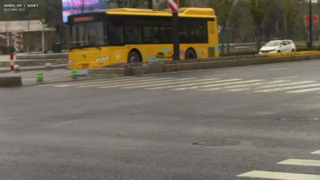 800BUS