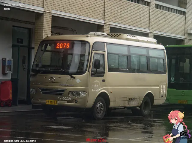 800BUS