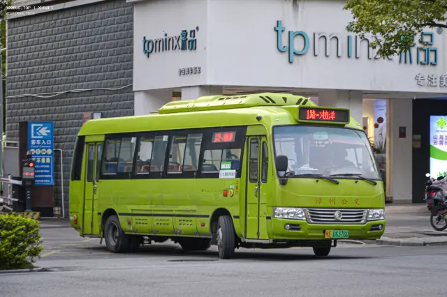 闽E 06376D