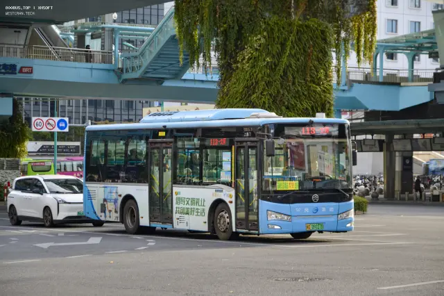 800BUS