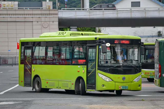 闽E 00086D